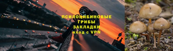 бутират Алзамай