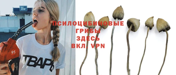 первитин Алексин