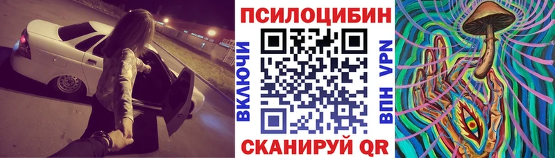 Псилоцибиновые грибы MAGIC MUSHROOMS  цены наркотик  Каменск-Уральский 
