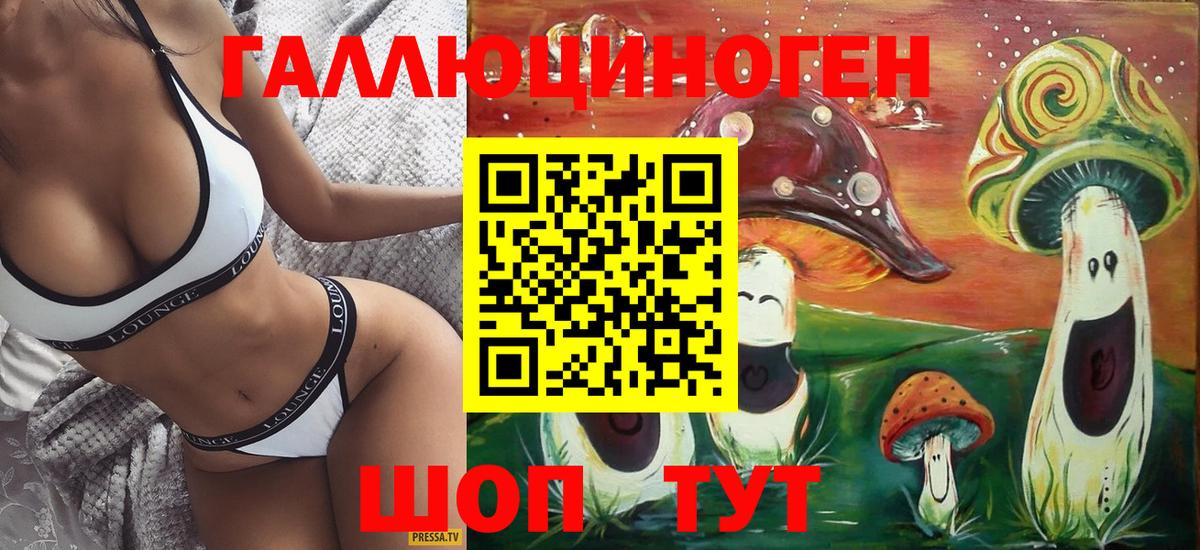 Галлюциногенные грибы Psilocybine cubensis Каменск-Уральский